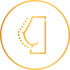 Ícone Cirurgias Faciais Wilson Maranhão